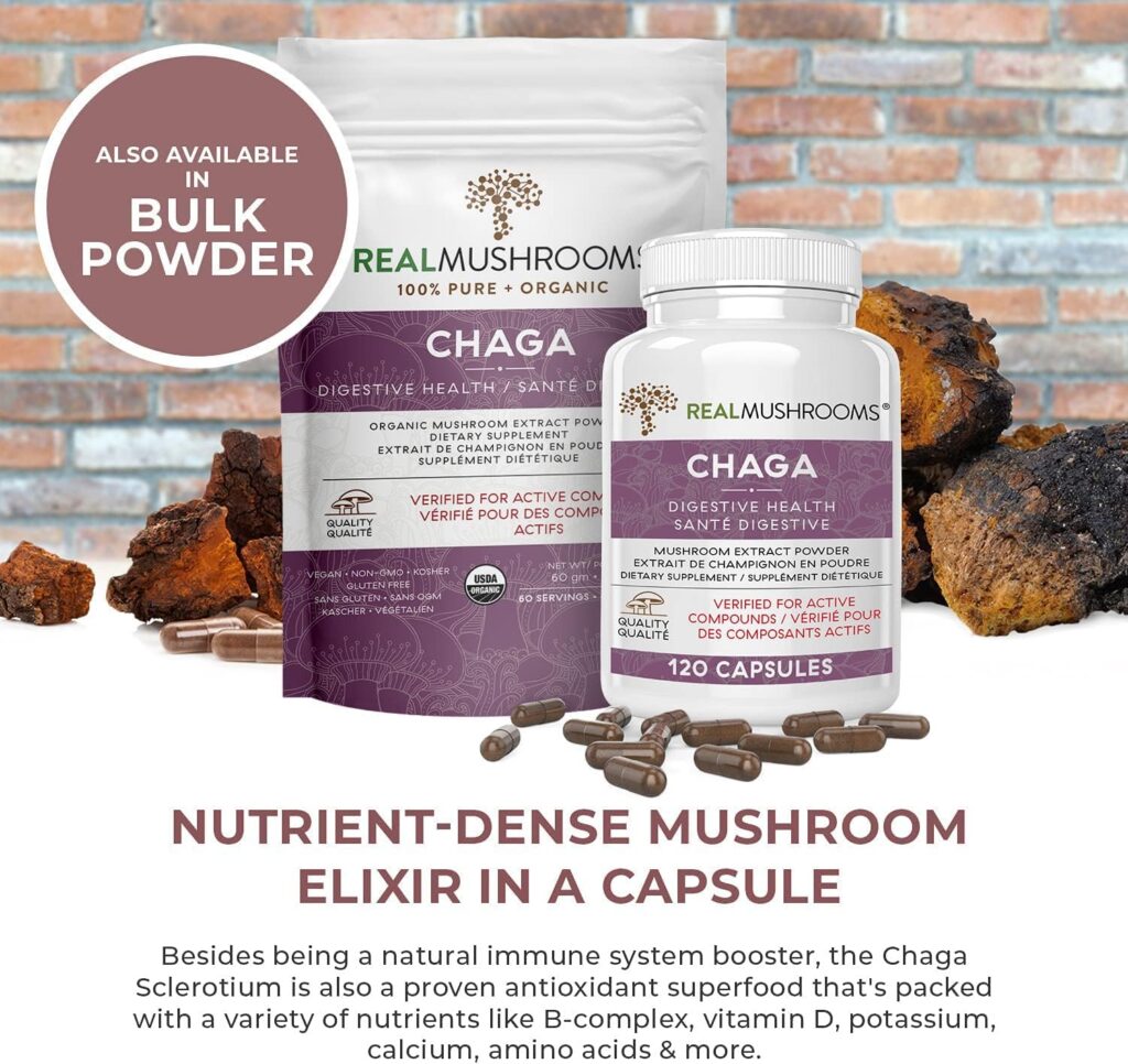 Chaga Mushroom Extract by Real Mushrooms - 60g Bulk Powder - Wild Harvested - Use with Shakes, Smoothies, Coffee and Tea (120 Count (Pack of 1)