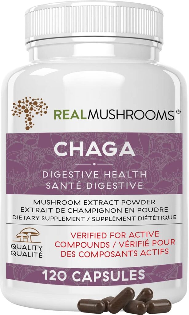 Chaga Mushroom Extract by Real Mushrooms - 60g Bulk Powder - Wild Harvested - Use with Shakes, Smoothies, Coffee and Tea (120 Count (Pack of 1)